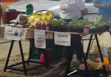 Vista da feira